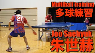 【卓球】世界中のカットマンが必見！朱世赫の多球練習【琉球アスティーダ】Joo Saehyuk multi ball training