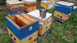 Розширення для відводків!!!🍨🐝🐝🐝