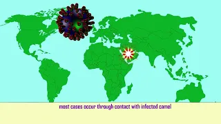 MERS coronavirus