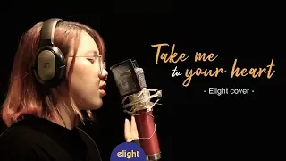 Học tiếng anh qua bài hát Take me to your heart | Elight cover