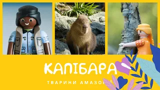 Капібара. Тварини Амазонії | КоМарко