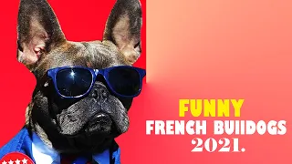 FUNNY FRENCH BULLDOG VIDEOS 2021 | Try Not To Laugh At This Funny Dog Video Compilation😂😂