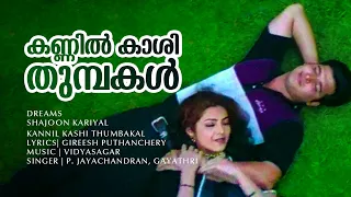 Kannil Kaashithumbakal | Dreams | Abbas | Meena - Vidyasagar Hits