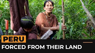 An Indigenous community in Peru's Amazon must ‘migrate or die’