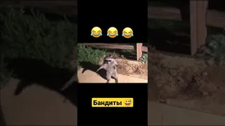 Хоп спалились 😂#shorts