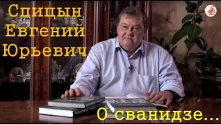 Евгений Юрьевич Спицын о историке сванидзе
