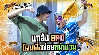 แกล้งไปร์ทSPD  โดนผึ้งต่อยจะมาช่วยเพื่อนไหม เจ็บจริง!!