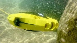 Chasing Dory: An affordable underwater drone