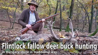 Flintlock fallow deer hunt in Hungary