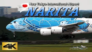 【4K60P】Spotting Special 3.5Hour!! in Narita Airport 2019 the Amazing Airport | Plane  Spotting