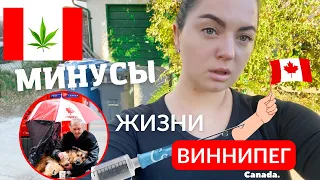 Первые ощутимые минусы Виннипега. Опасная Канада | Медицина в Канаде | Иммиграция в Канаду. Winnipeg