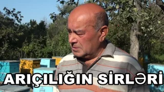 arıçılığın sirləri-Ağstafalı arıçı Şahin Cəfərov.