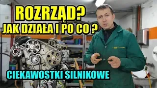 ROZRZĄD - CO TO JEST? JAK DZIAŁA? CZY WYMIENIAĆ? CIEKAWOSTKI SILNIKOWE.