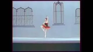 Ekaterina Maksimova & Vladimir Vasiliyev Ballet