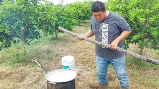 Caldo de ceniza en limon persa (Parte 1)