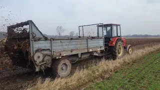 Ursus c-360 3P Czarna białostocka rozrzucanie obornika.