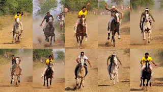 🔴 LIVE -HORSE RACE -JODHAN - LUDHIANA #horseracing #marwarihorselover