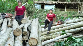 Cut down trees in preparation for building bridges across streams outside the power grid