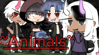 🌸~Animals~🌸/chanson