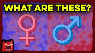 Do Trans Women Experience "Male Socialization"?