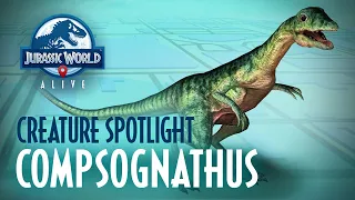 Creature Spotlight - Compsognathus