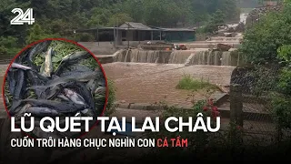 Lũ quét tại Lai Châu cuốn trôi hàng chục nghìn con cá tầm | VTV24