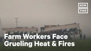 Farm Workers Still Work Fields Amid CA Wildfires | NowThis