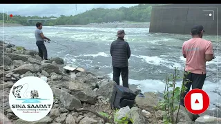 Nashville TN fishing in / J.Percy priest Dam