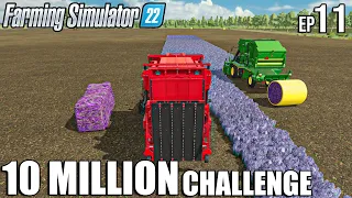 LAVENDER Harvest and LOAD with CASE and JOHN DEERE | 10 Million CHALLENGE | Farming Simulator 22