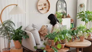 33 Types of Plant Decor Plants that Make Your Home Neat and Warm 🌱Tips for Growing Healthy Plants