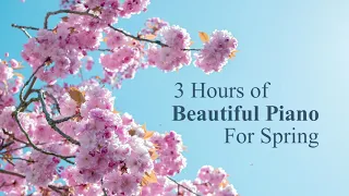 3 Hours of Beautiful & Nostalgic Piano Music for Spring – For Studying and Relaxation ✿｜BigRicePiano