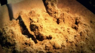 What is Kief? And 6 ways to use it: Cannabasics #5