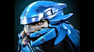 Halo Infinite Elite Evolution