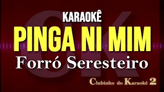 Forró Seresteiro - Pinga ni mim - Karaokê FL