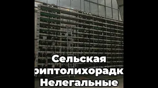 Сельская криптолихорадка.  Нелегальные майнеры угрожают энергосистеме Иркутской области
