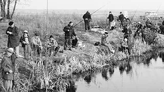 Эксперимент 1967 года про память рыбы и 3 секунды.