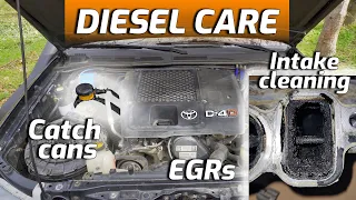 [TEST] Intake Cleaning, EGR & CATCH CANS - Explained In Detail! | Diesel Engine Care