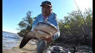 Fishing in Tampa Bay Gandy Beach (For Monsters)