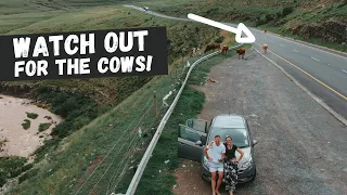 DRIVING THROUGH THE TRANSKEI l Are the roads safe? l Our SA Vlog l South African Youtubers l Ep 1