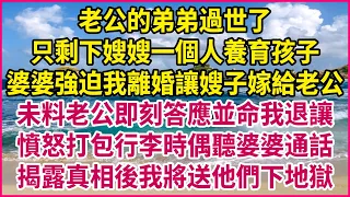 老公的弟弟過世了，只剩下嫂嫂一個人養育孩子！婆婆強迫我離婚讓嫂子嫁給老公！未料老公即刻答應並命我退讓！憤怒打包行李時偶聽婆婆通話！揭露真相後我將送他們下地獄！#生活經驗 #情感故事 #深夜淺讀