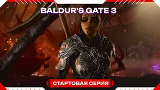 Baldur's Gate 3 -  шортс стрим