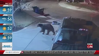 Caught on camera: Bear spotted in Oakley neighborhood