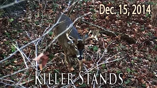 Midwest Whitetail | Choosing a Treestand Location