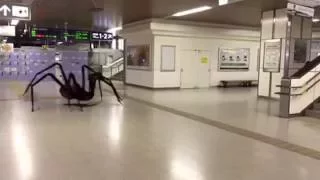 Giant spider attack in mrt