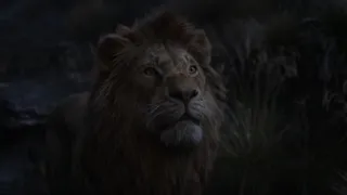Симба возвращается домой | The Lion King 2019 |