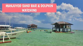 BAIS DOLPHIN WATCHING & MANJUYOD SAND BAR