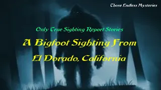 A Bigfoot Sighting From El Dorado County California