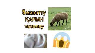 ІШЕК-ҚАРЫН 5 минутта ҚАРЫН тазалау😱            КАК ПОЧИСТИТЬ ТРЕБУХА ЗА 5 МИН .