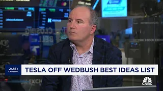 Here's why Wedbush's Dan Ives slashed his 12-month stock price target for Tesla