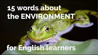 15 Words About - Environment + Free Downloadable Exercise Worksheet (for ESL Teachers & Learners)